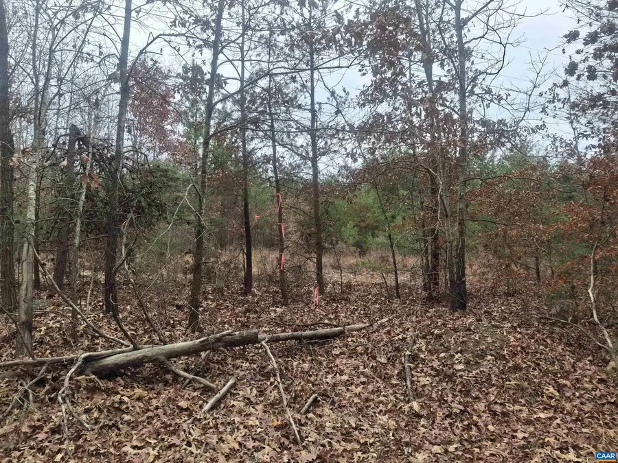 0 Indian Pipe Run, Palmyra, VA 22963 - Image #3