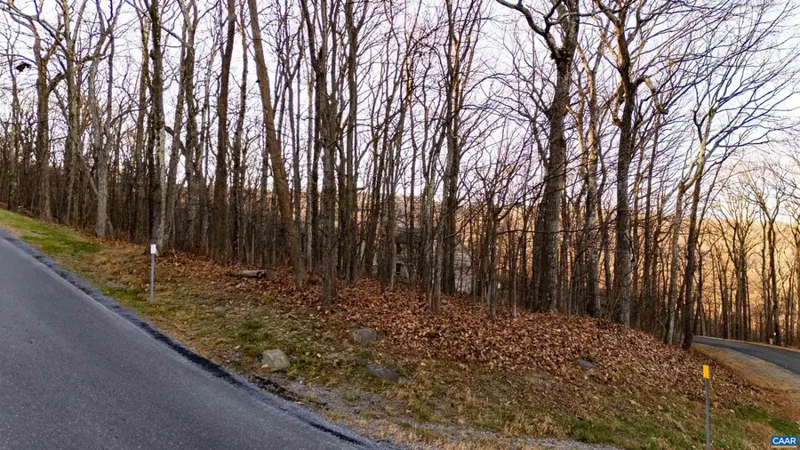 23 North Rock Tree Ln #125 Pedlars Edge Sub, Wintergreen Resort, VA 22967 - Image #2