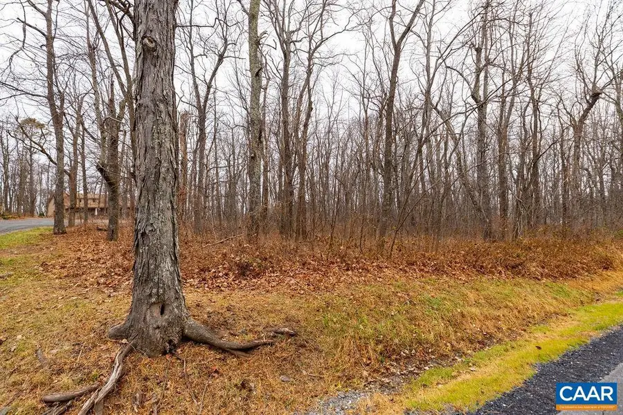 559 Laurel Springs Dr #pryor Camp Ii 24, Wintergreen Resort, VA 22967 - Image #2