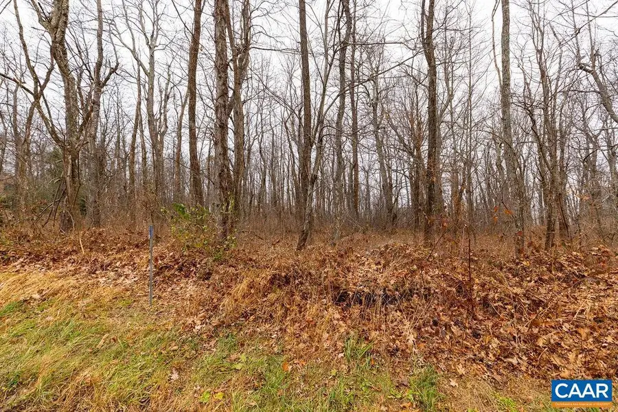 579 Laurel Springs Dr #pryor Camp Ii 25, Wintergreen Resort, VA 22967 - Image #2