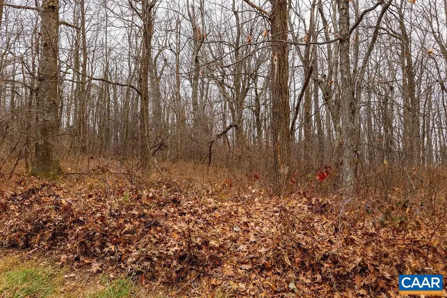 579 Laurel Springs Dr #pryor Camp Ii 25, Wintergreen Resort, VA 22967 - Image #3