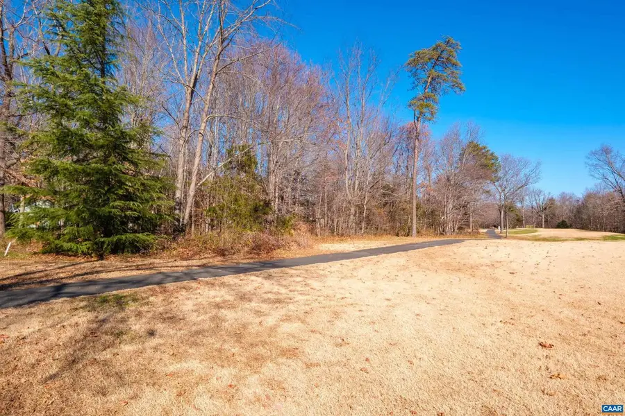 85 May Apple Ln, Nellysford, VA 22958 - Image #2
