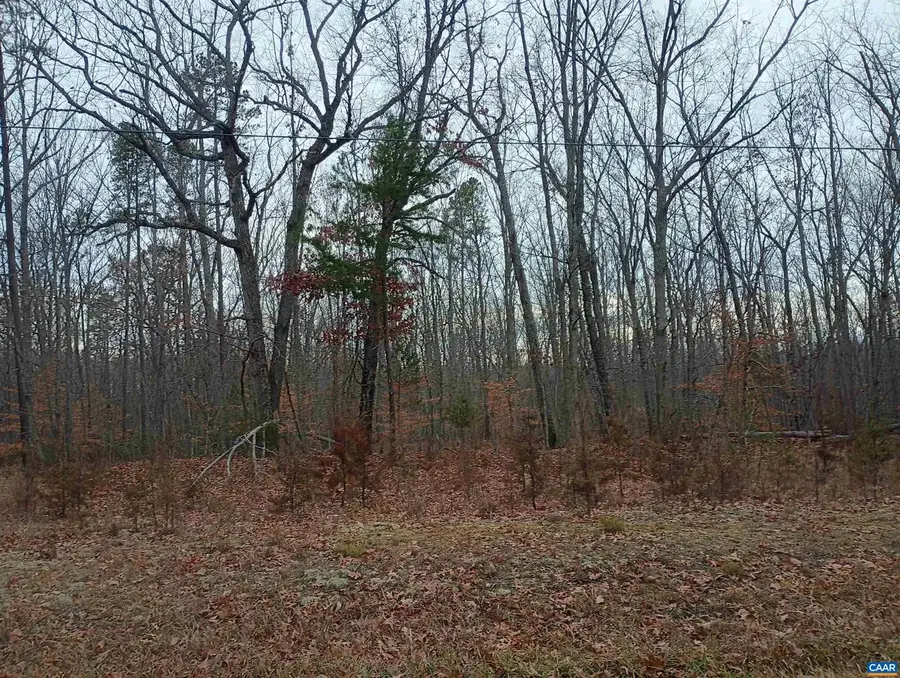 0 Axtell Rd, Scottsville, VA 24562 - Image #2