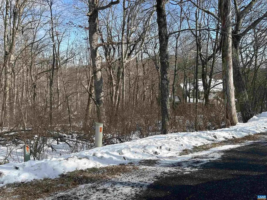 25 Poll Axe Ln, Wintergreen Resort, VA 22967 - Image #2