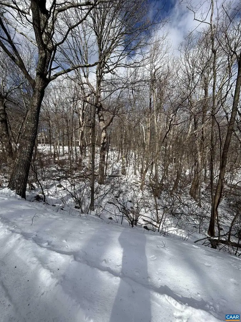 25 Poll Axe Ln, Wintergreen Resort, VA 22967 - Image #3