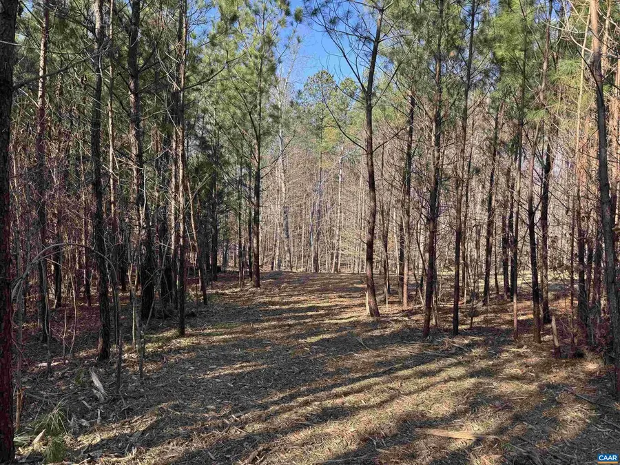 3860-1 Gilbert Station Rd #lot 1, Barboursville, VA 22923 - #2