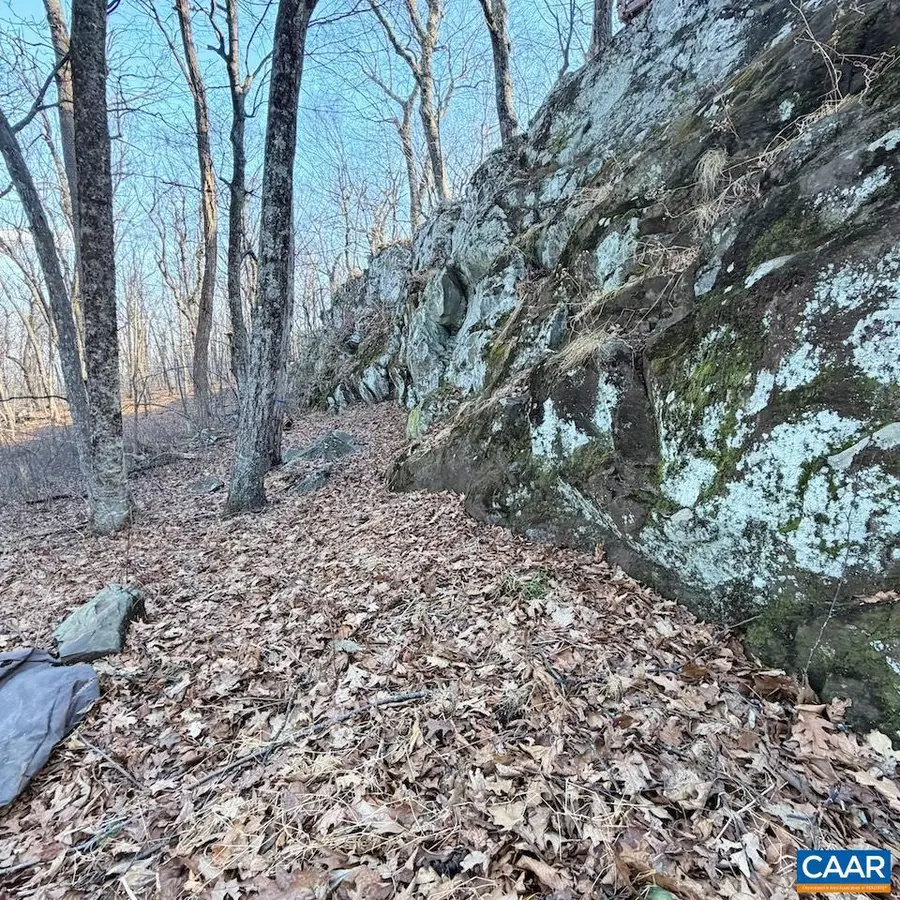 462 Deer Springs Ln #101, Wintergreen Resort, VA 22967 - #2