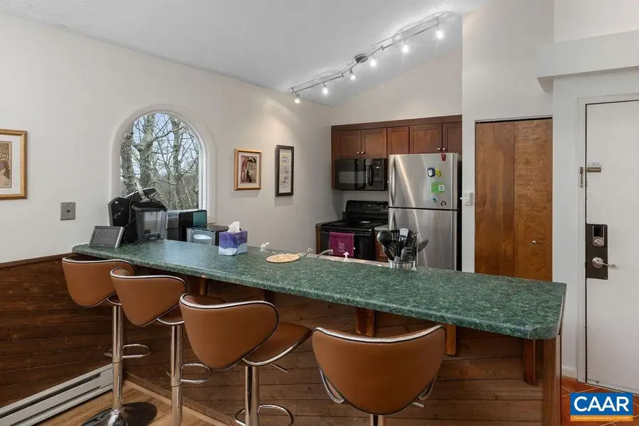 2224 Tanners Ridge Condos #2224, Wintergreen, VA 22967 - #3