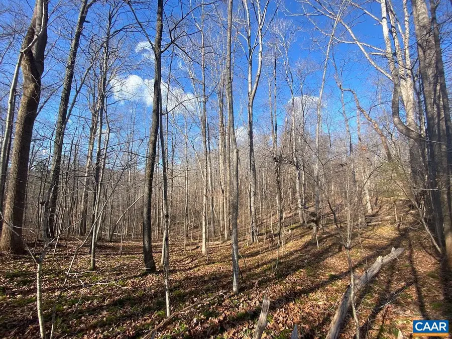 Walnut Grove Ln #45 A 26, Lovingston, VA 22949 - #3