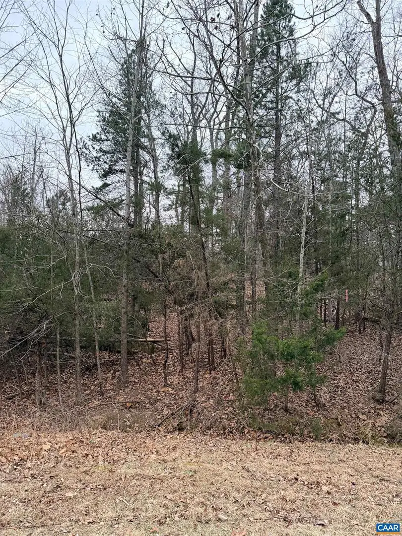 2 Goodman Ln, Palmyra, VA 22963 - #3