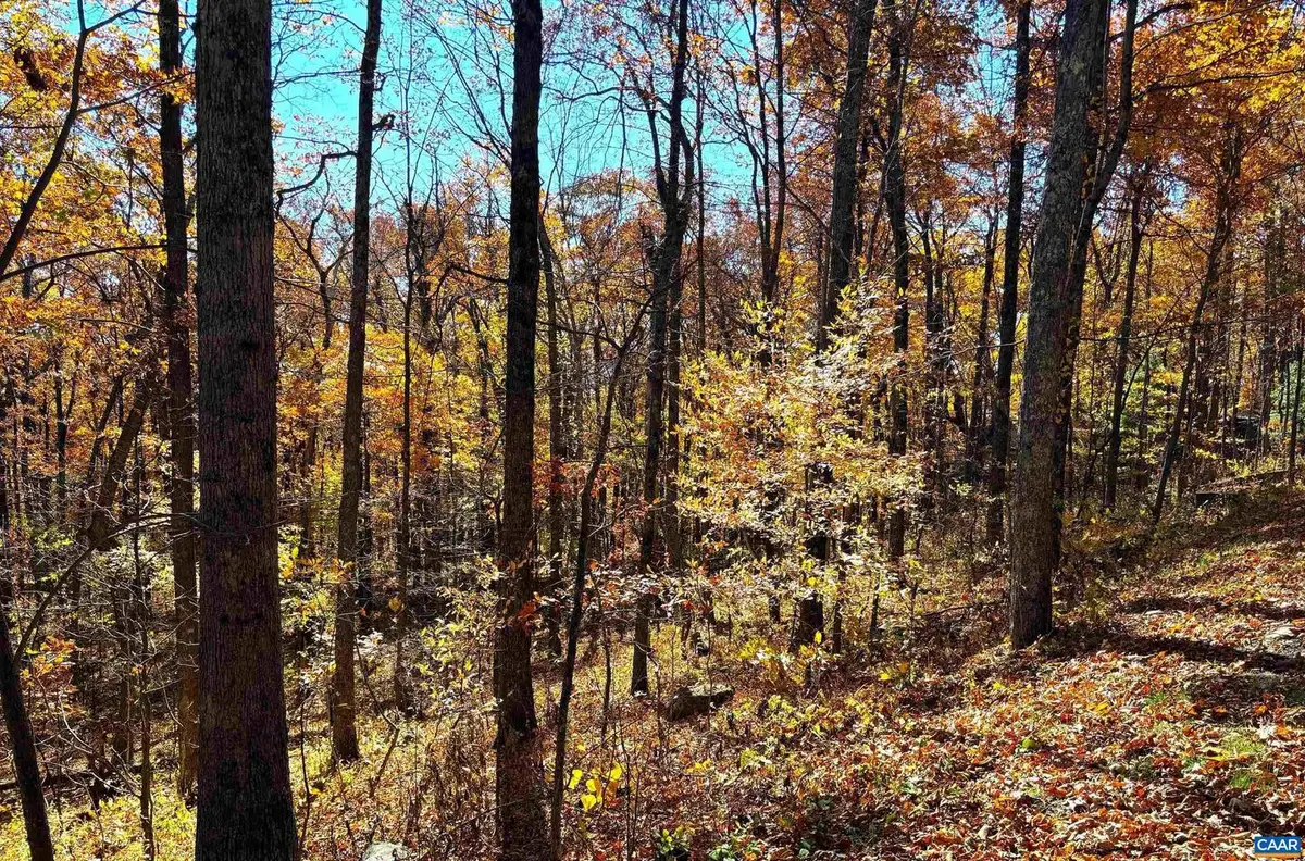 107 Firtree Dr, Wintergreen Resort, VA 22967 - #1