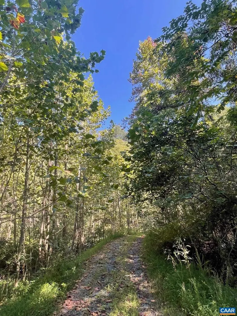 Tbd Stony Point Pass, Keswick, VA 22947 - Image #3