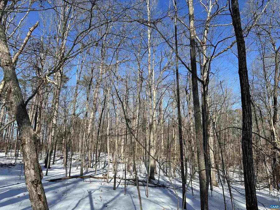 02 Beaverdam Rd #2, Keswick, VA 22947 - Image #3