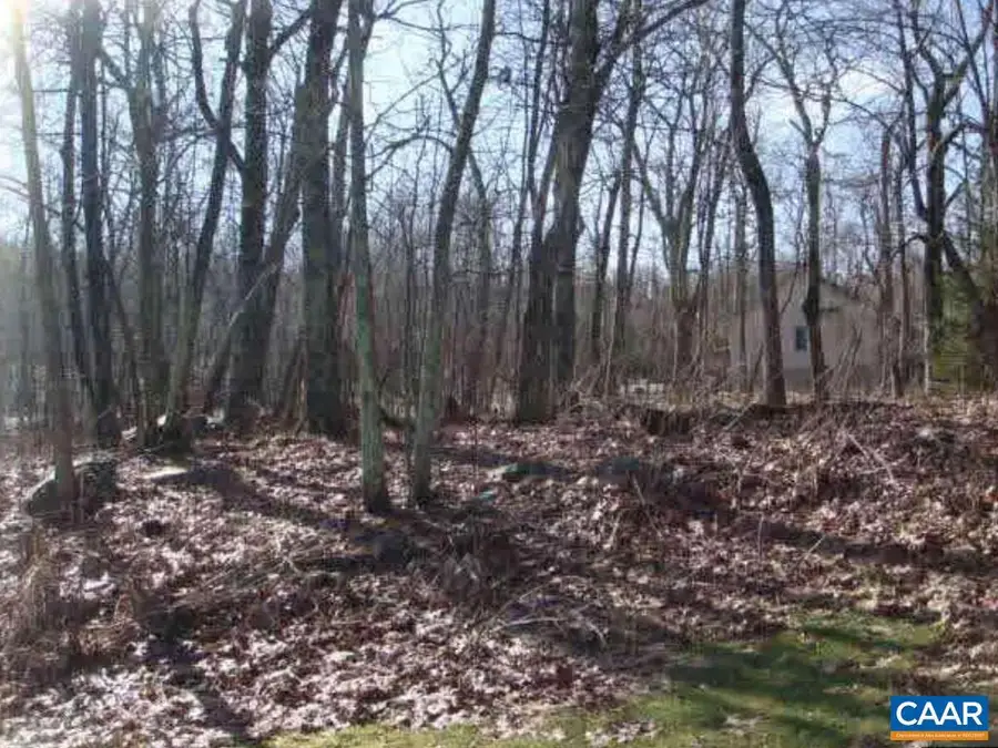 Lot 6 Devils Bend Ct #6, Wintergreen, VA 22958 - #3