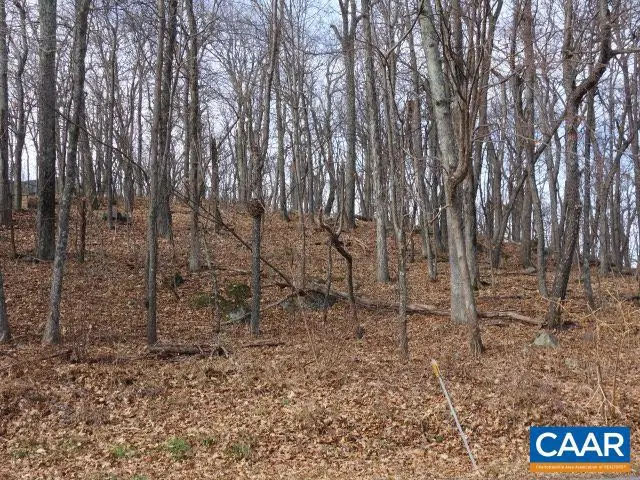 91 Shamokin Springs Trl, Wintergreen, VA 22958 - #2