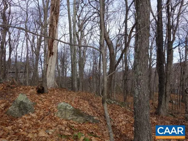 91 Shamokin Springs Trl, Wintergreen, VA 22958 - #3