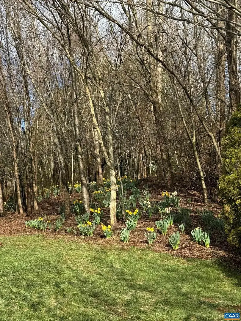 Tbd Edmond Dr #16d, Crozet, VA 22932 - #2