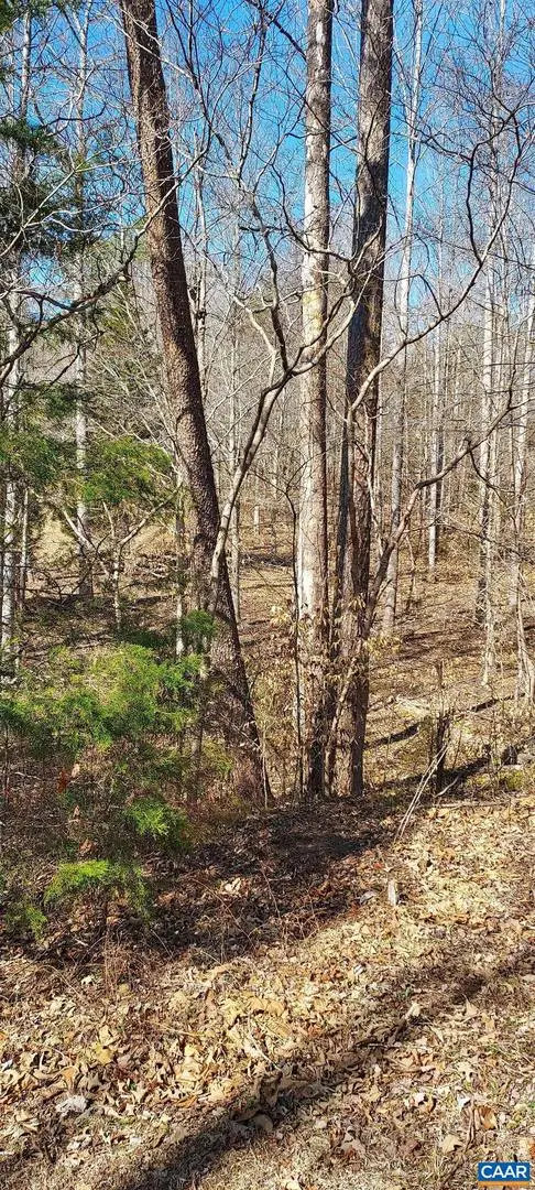 460 Jefferson #435, Palmyra, VA 22963 - #1