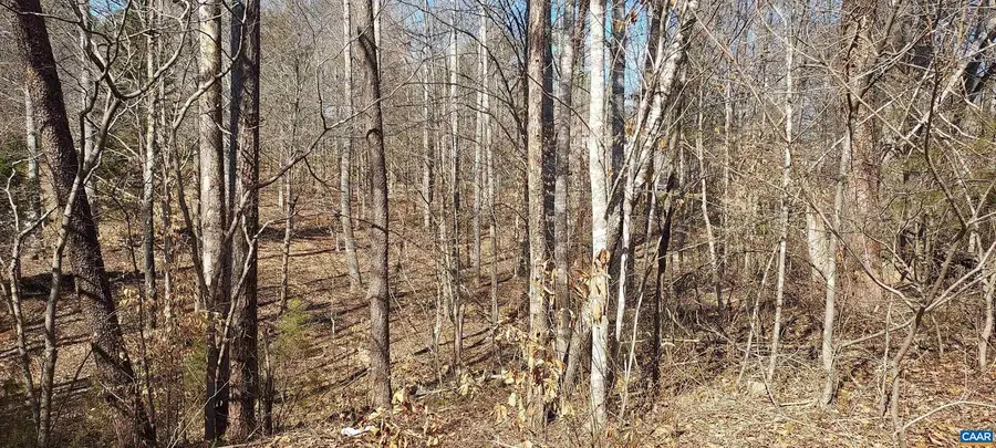 460 Jefferson #435, Palmyra, VA 22963 - #2