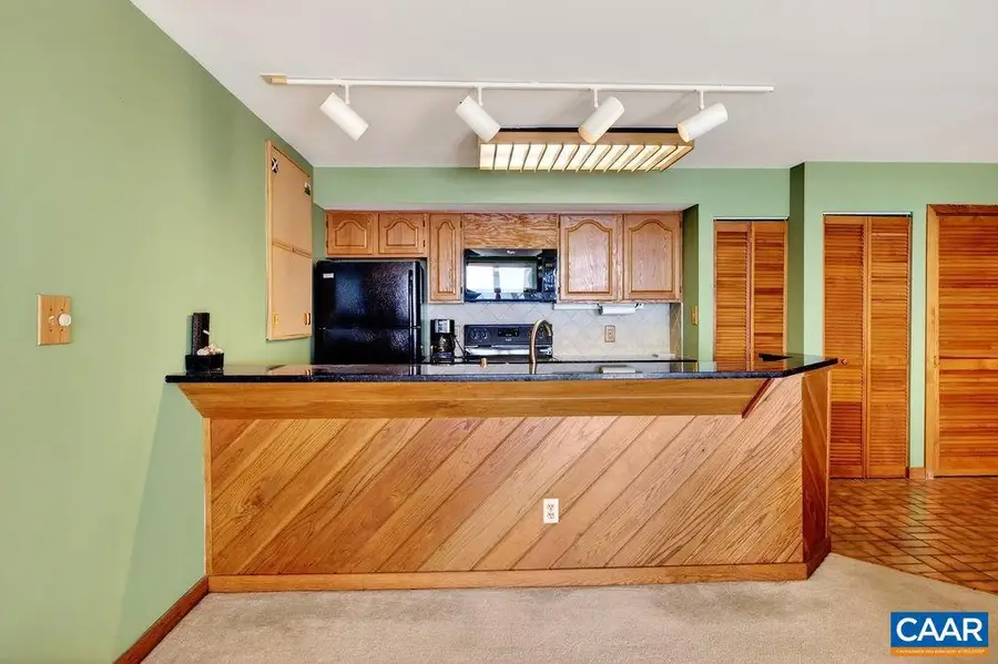 1551 Vistas Condos, Roseland, VA 22967 - #3