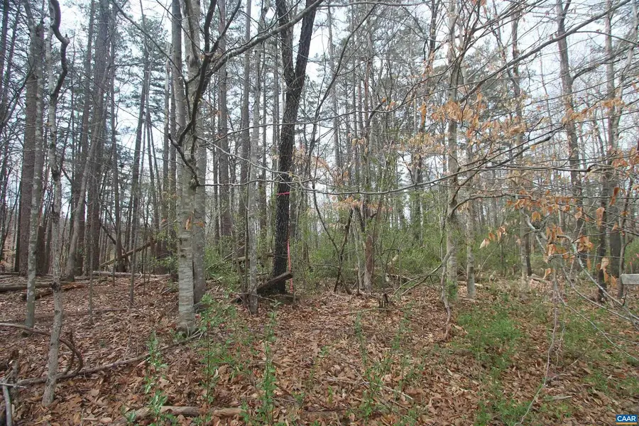 Tbd Sulphur Mine Rd, Charlottesville, VA 22911 - #3