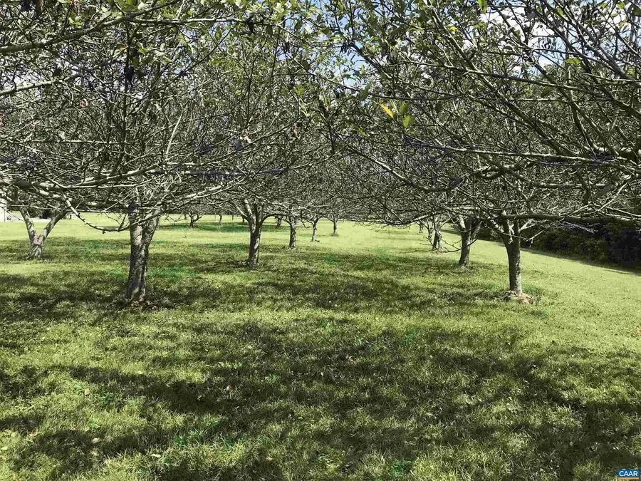 3 Phillips Ln, Nellysford, VA 22958 - #3