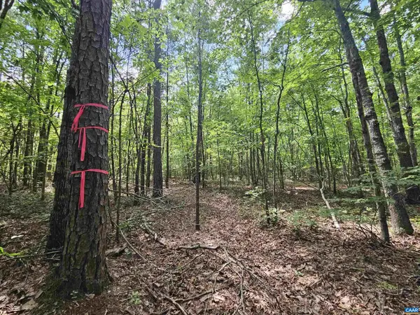 100 Ac W James Anderson Hwy, GLADSTONE, VA 24553