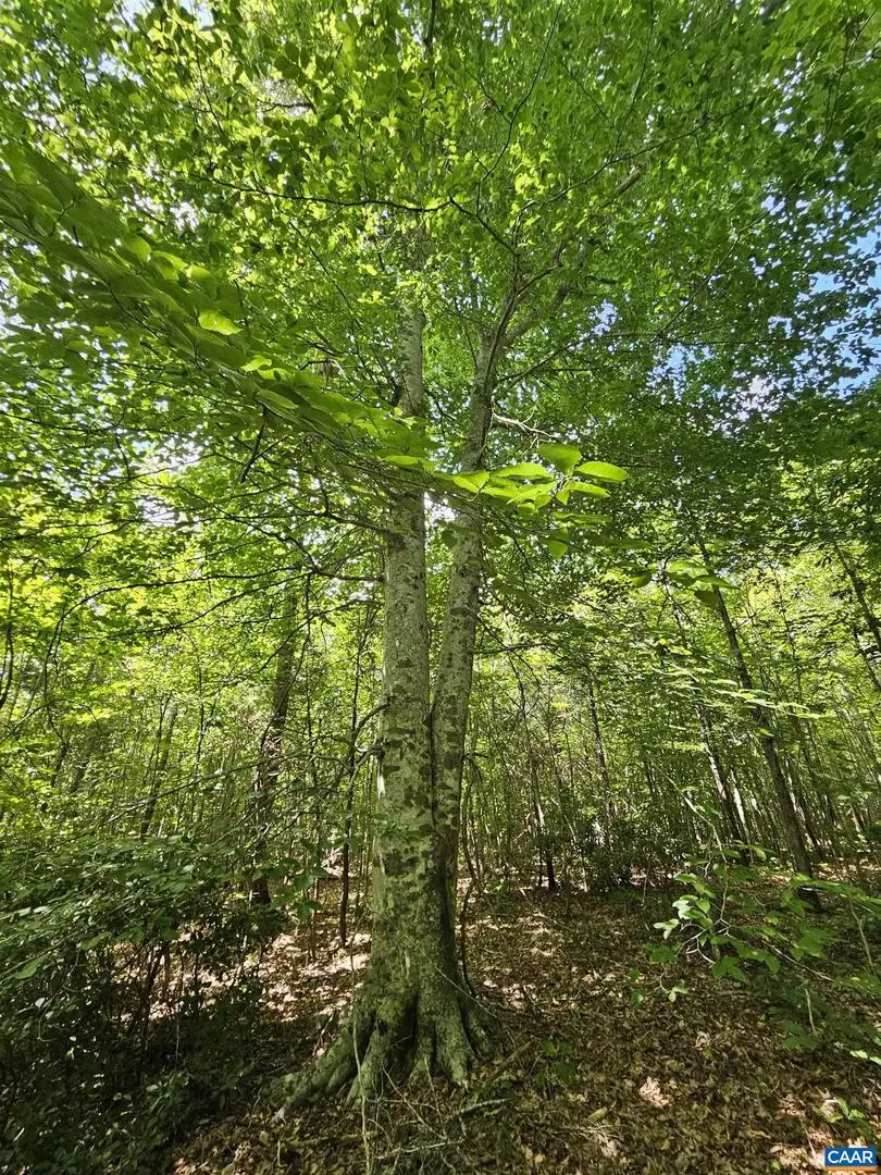 100 Ac W James Anderson Hwy, Gladstone, VA 24553 - #3