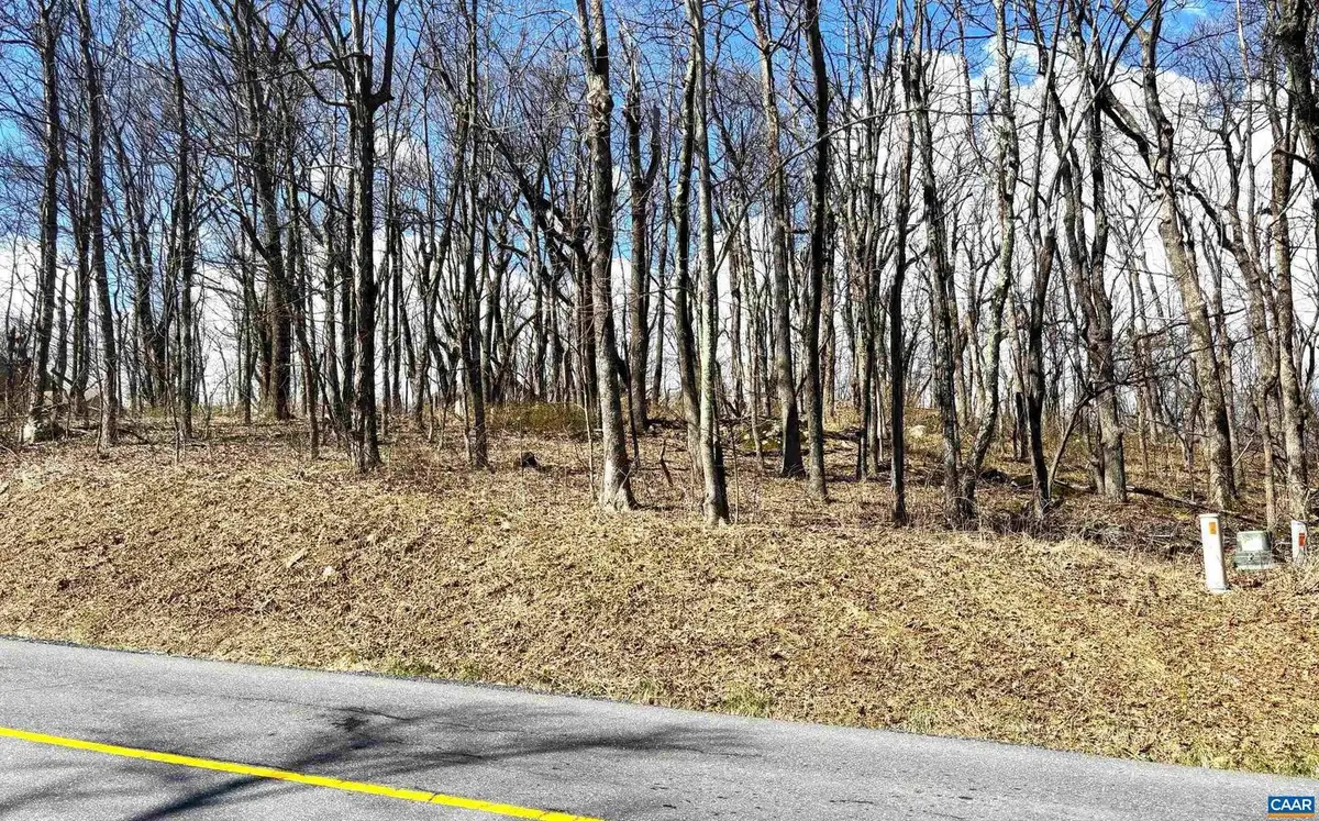 433 Laurel Springs Dr #1, Wintergreen Resort, VA 22967 - #1