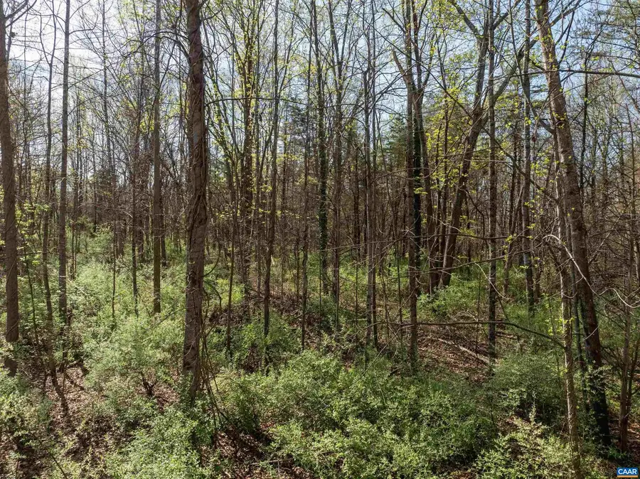 0 Randolph Ct, Charlottesville, VA 22911 - #3