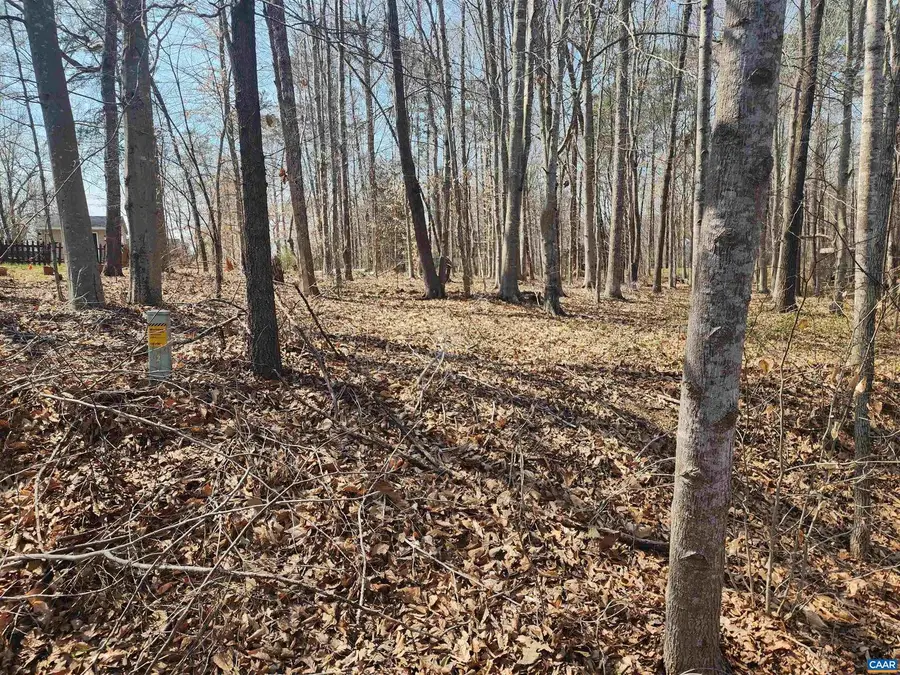 28 Jennings Dr, Palmyra, VA 22963 - #2