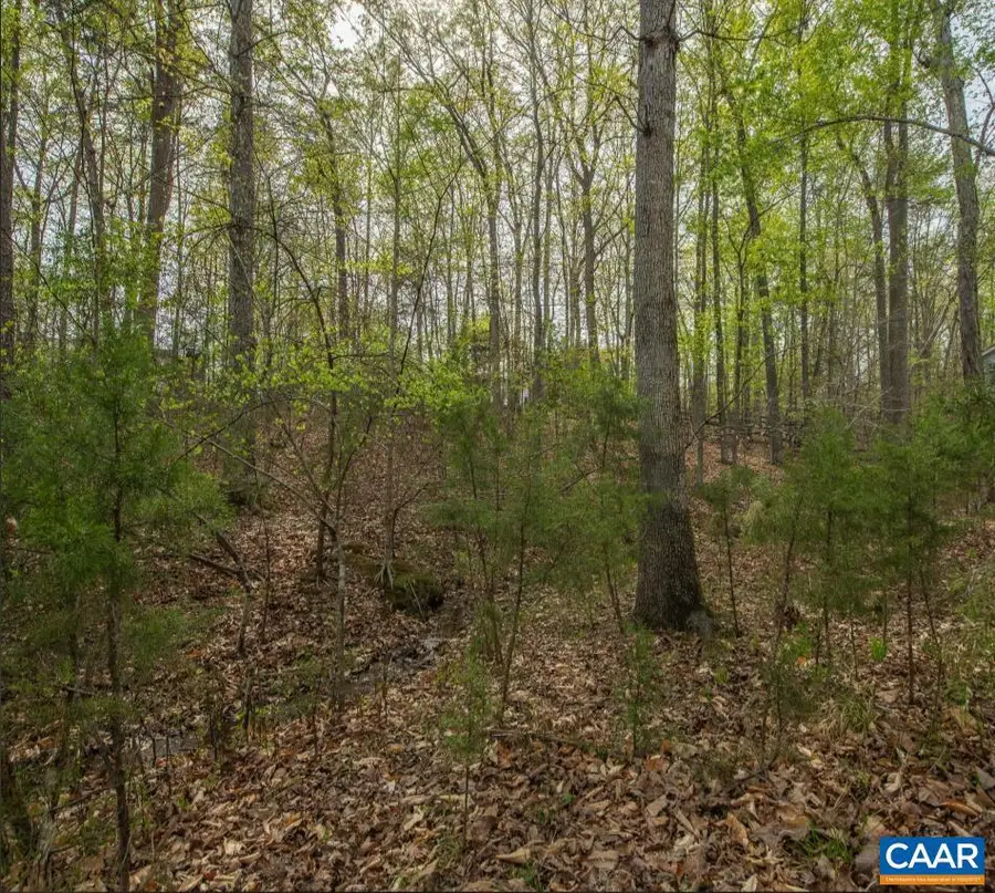 0 Turkeysag Trl, Palmyra, VA 22963 - #2