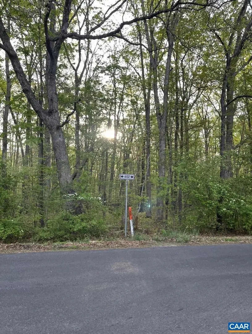 Black Walnut Run Rd, Rhoadesville, VA 22542 - #2