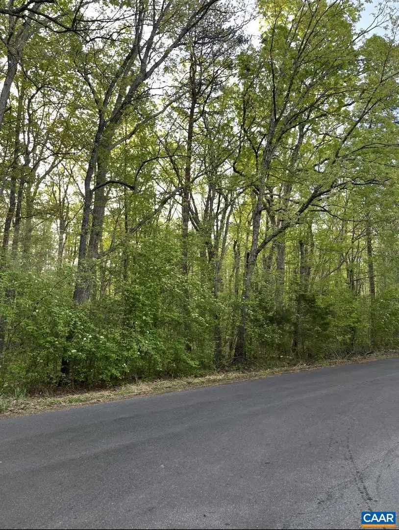 Black Walnut Run Rd, Rhoadesville, VA 22542 - #3