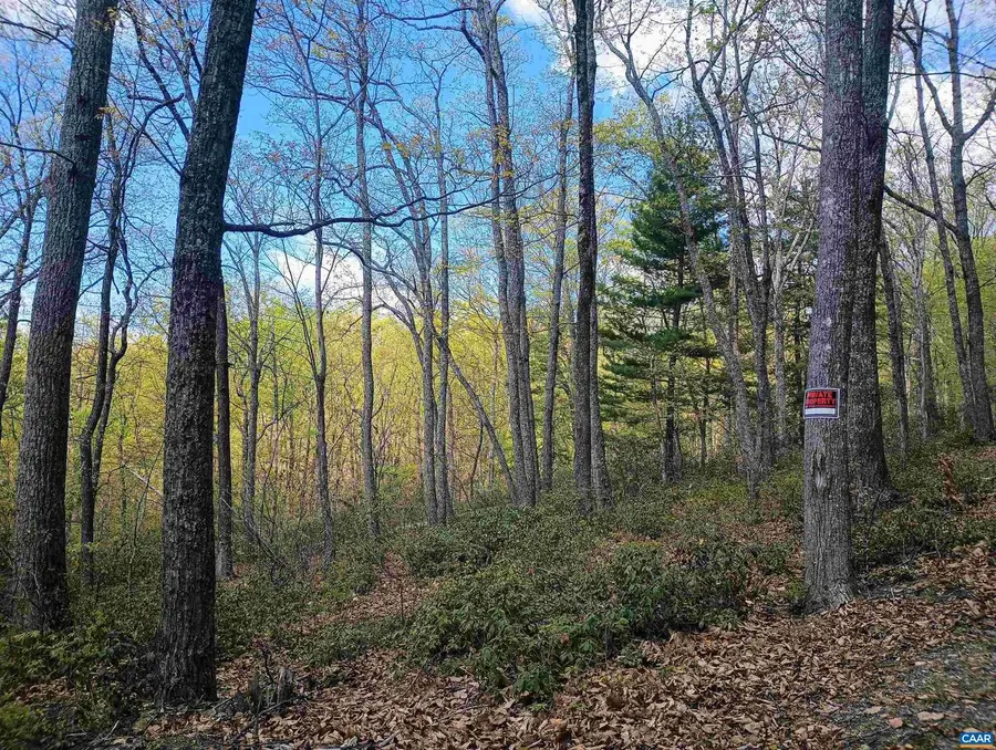 0 Rockfish Heights Ln #5, Nellysford, VA 22958 - #3