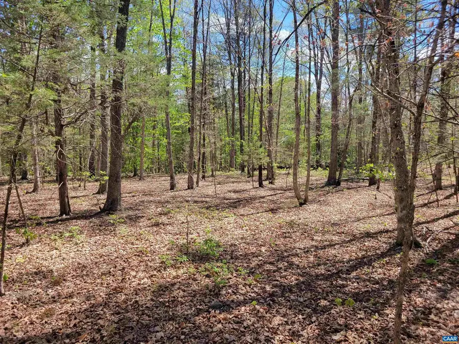 13.3 Ac Glade Rd #1, Schuyler, VA 22969 - #2