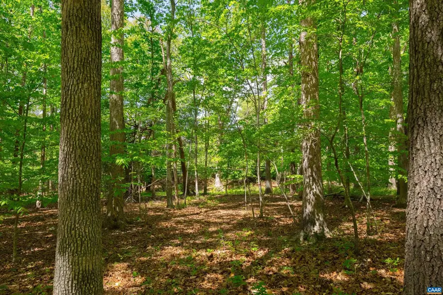 Tbd Keswick Ln #45, Keswick, VA 22947 - #2