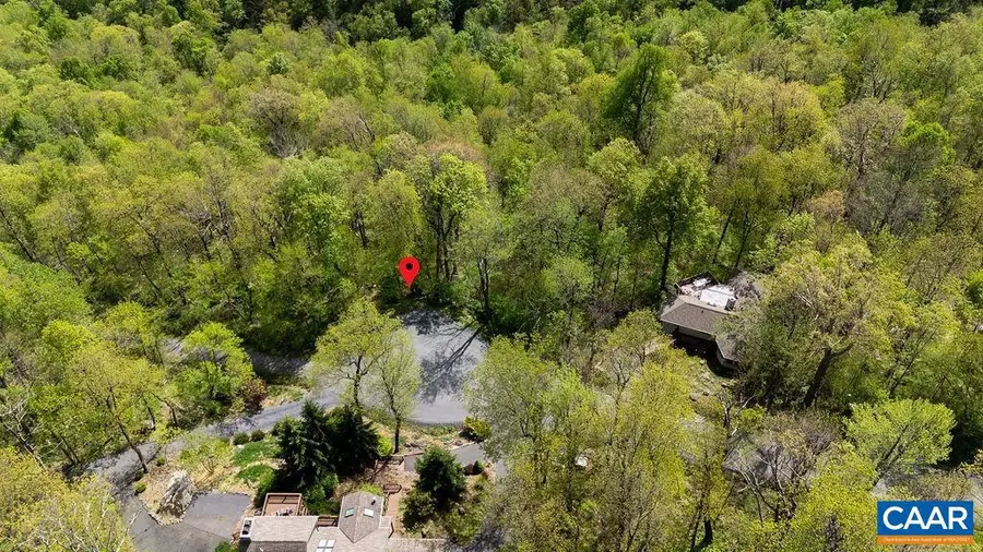 2242 Laurel Springs Dr, Wintergreen Resort, VA 22967 - #2