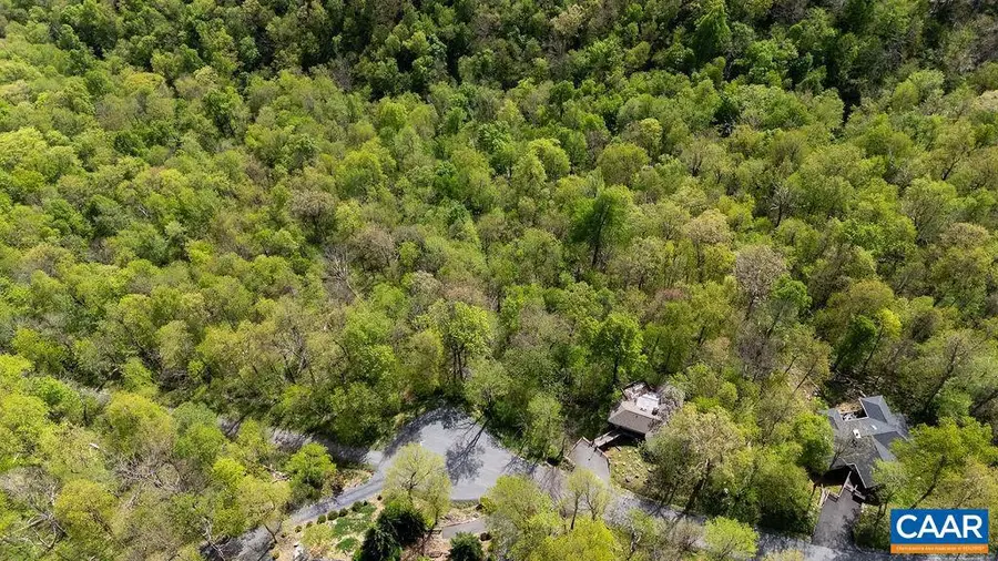 2242 Laurel Springs Dr, Wintergreen Resort, VA 22967 - #3