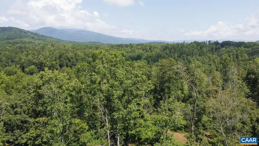0 Adial Rd #10, Faber, VA 22938 - #3