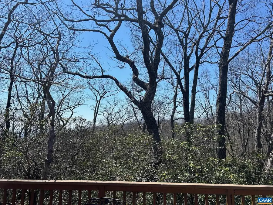 30 Gumtree Dr, Wintergreen Resort, VA 22967 - #3