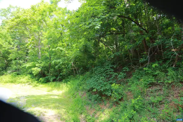 1757 Black Walnut Dr #g54, NELLYSFORD, VA 22958