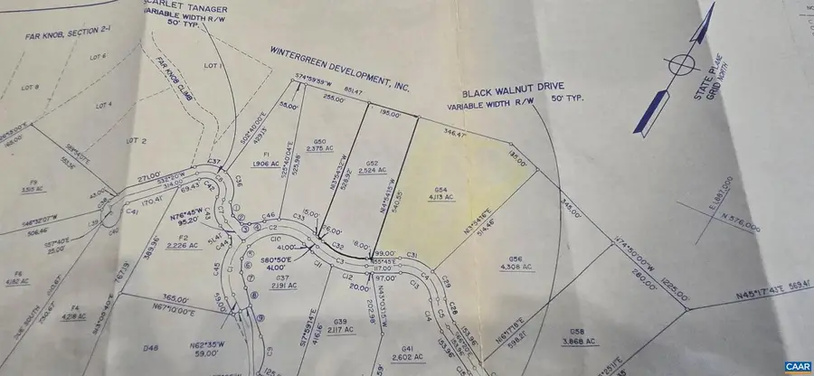 1757 Black Walnut Dr #g54, Nellysford, VA 22958 - #3