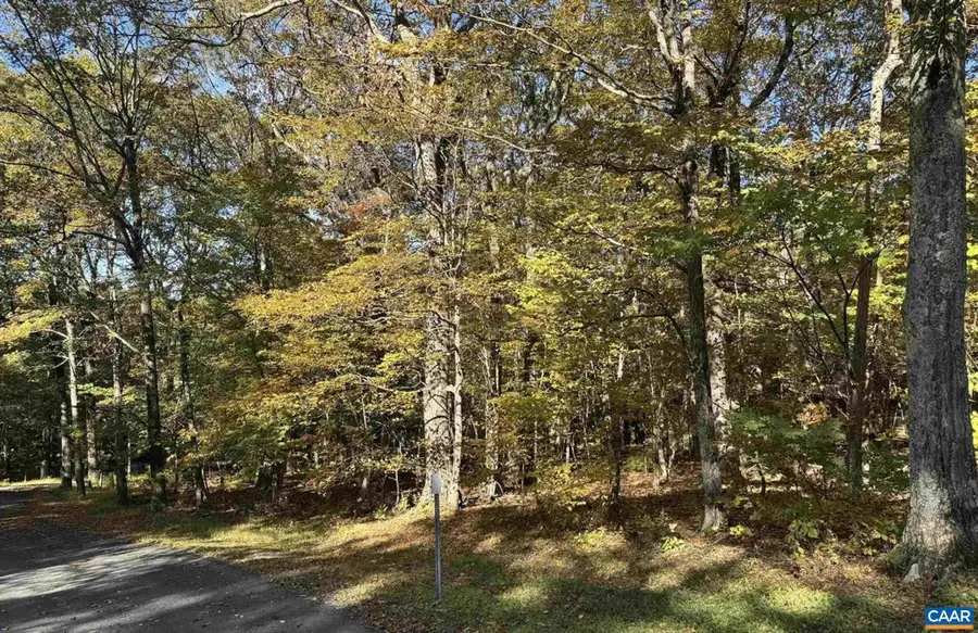 Tbd Winter Wren Ln #20, Wintergreen Resort, VA 22967 - #2