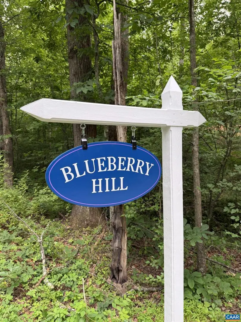 Tbd Green Creek Rd, Schuyler, VA 22969 - #1