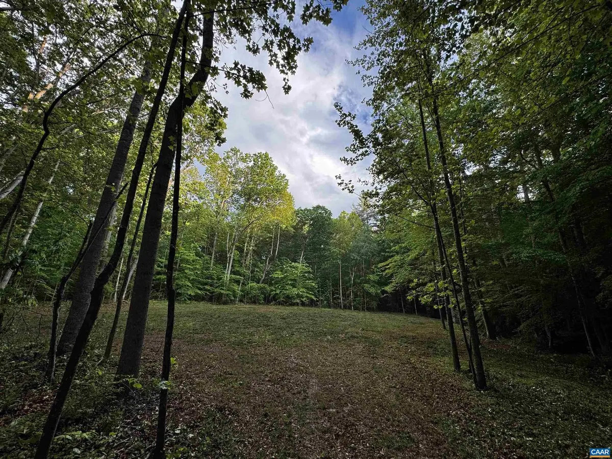 0 Fredericksburg Rd, Ruckersville, VA 22968 - #1