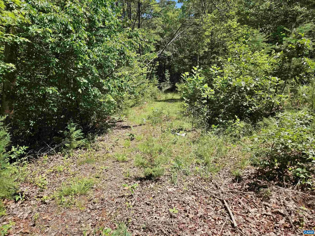 Manteo Rd #2, Buckingham, VA 23921 - #1