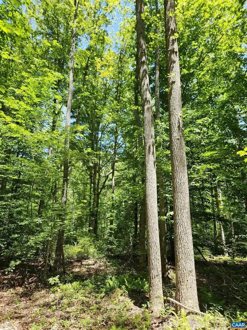 Manteo Rd #2, Buckingham, VA 23921 - #2