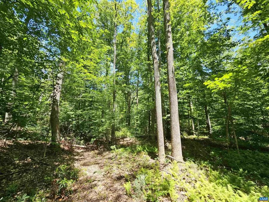 Manteo Rd #2, Buckingham, VA 23921 - #3