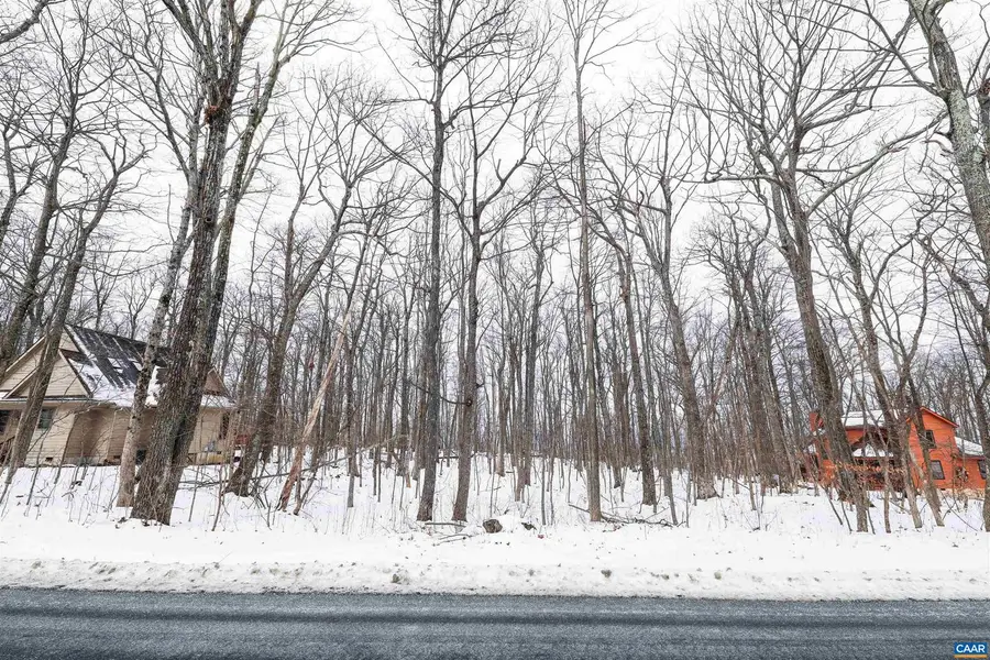 1331 Laurel Springs Rd #7, Wintergreen Resort, VA 22967 - #2